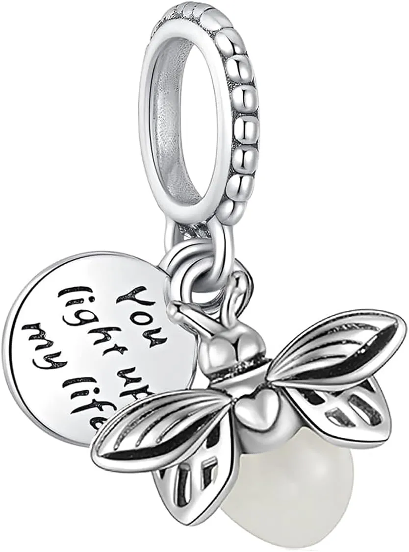 10 Pack Silver Charms for Pandora Bracelets and Necklaces Charms for Women CZ Pendant Jewelry Charm Set