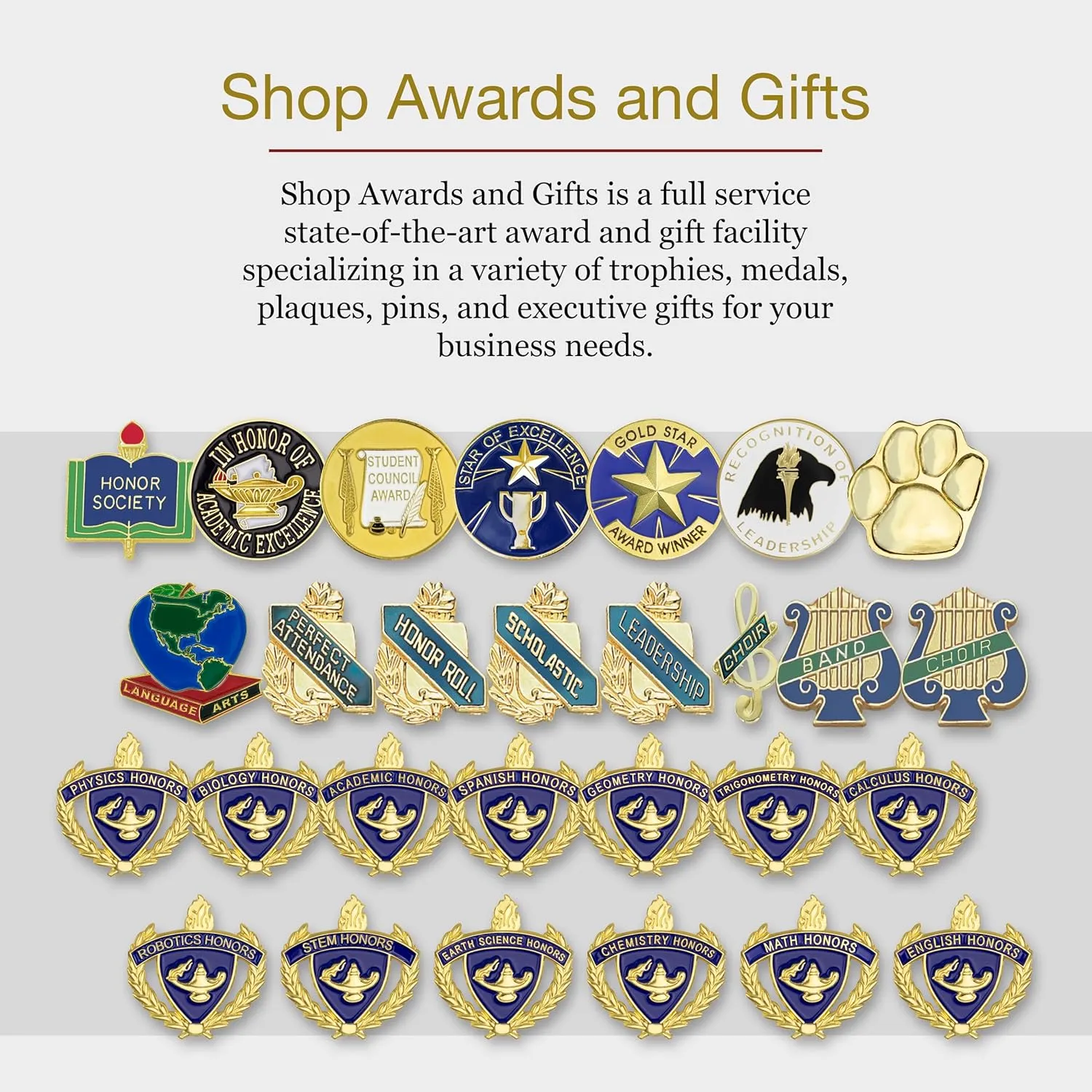 SHOP AWARDS AND GIFTS HP Series 1 Inch Lapel Pins