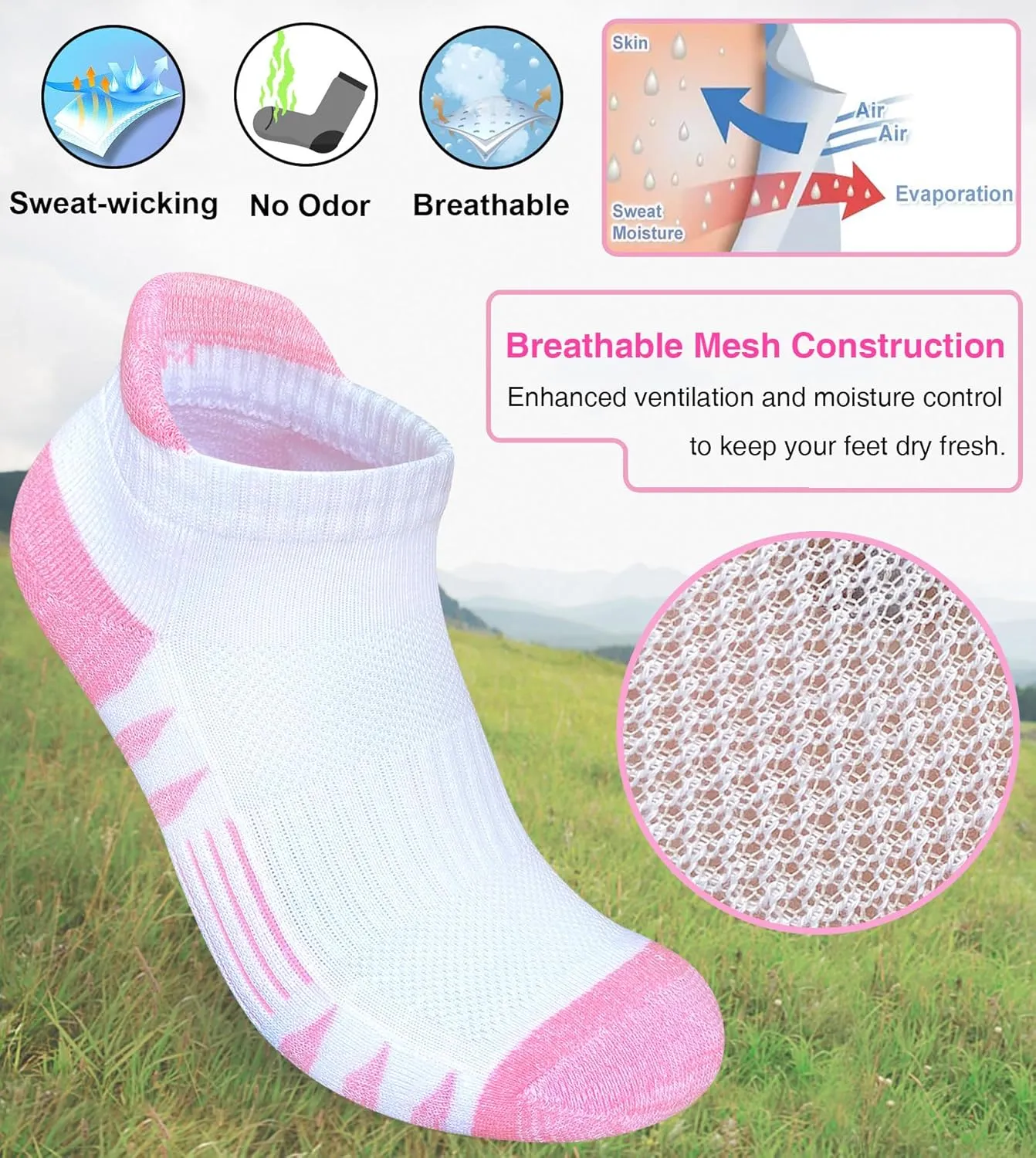 Womens Ankle Anti-blister Thick Cushioned Wicking Odor Resist Athletic Running Socks 5 Pairs